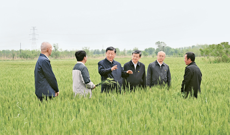 2023年5月11日至12日，中共中央總書記、國家主席、中央軍委主席習近平在河北考察，并主持召開深入推進京津冀協(xié)同發(fā)展座談會。這是11日上午，習近平在滄州市黃驊市舊城鎮(zhèn)仙莊片區(qū)旱堿地麥田考察時，同種植戶、農(nóng)技專家親切交流。 新華社記者 李學仁/攝