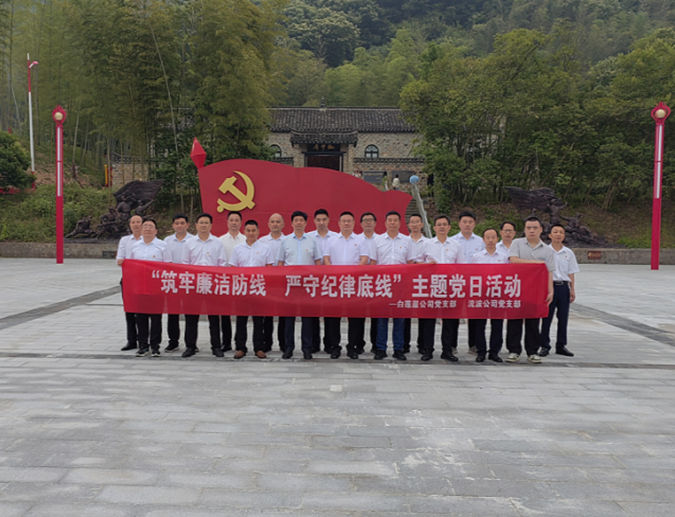 白蓮崖電站、流波電站_副本.png